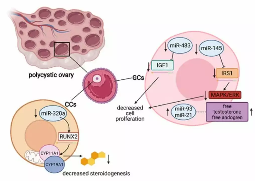 Understanding the Role of Angiogenesis Inhibitors in Renal Cell Carcinoma Treatment