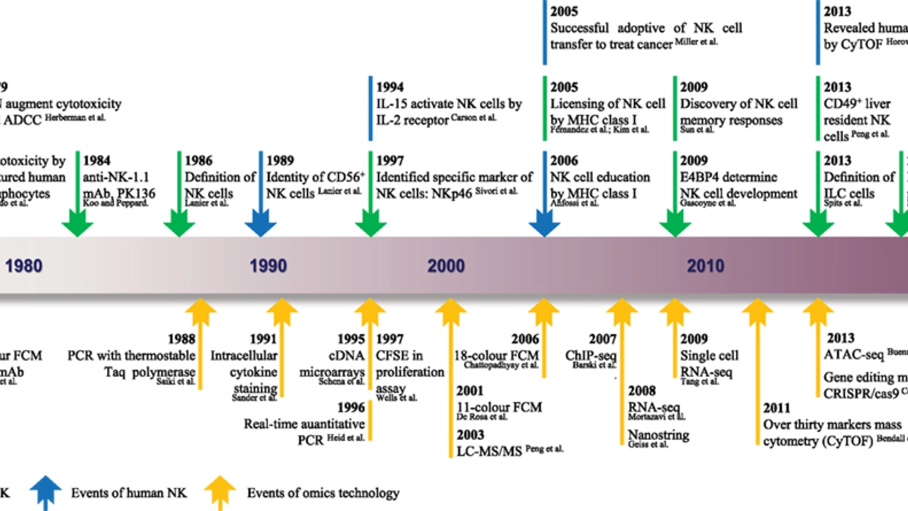 The History of Loperamide: From Discovery to Modern Use