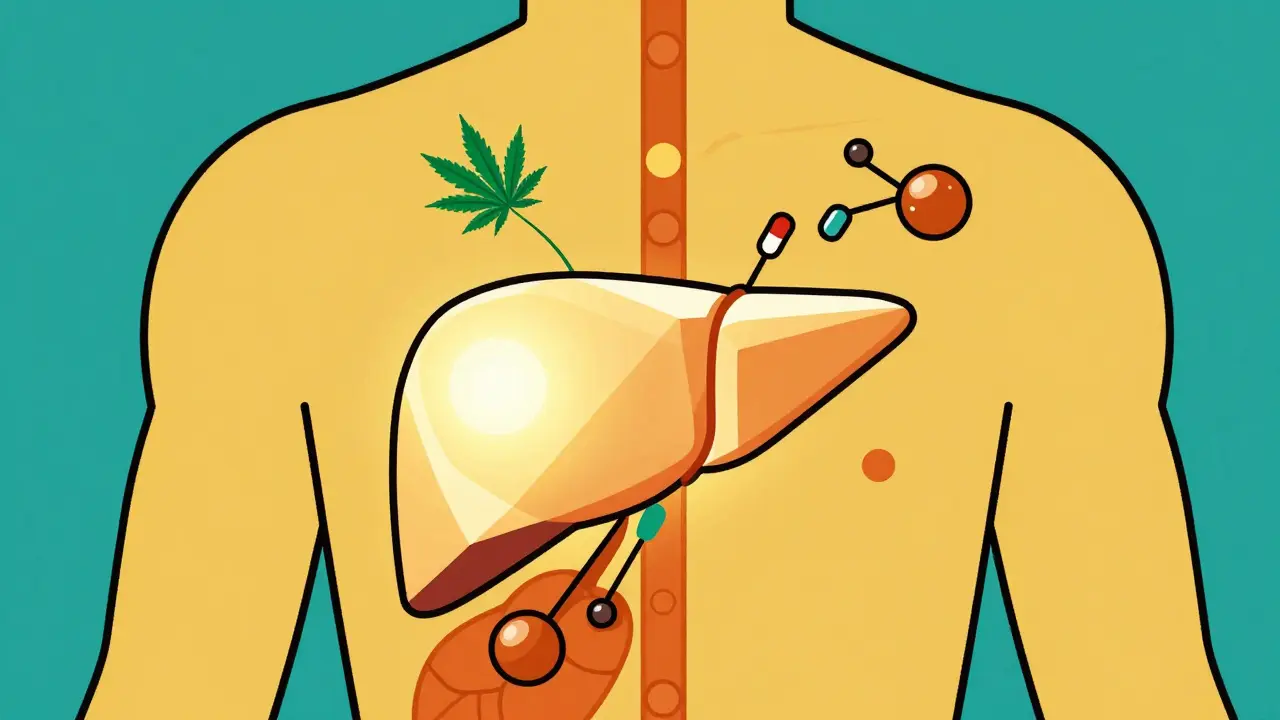 Cannabis and Medications: Understanding Drug Interaction Risks